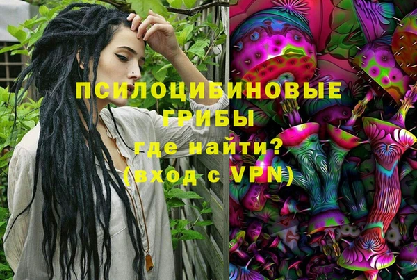 бошки Абдулино