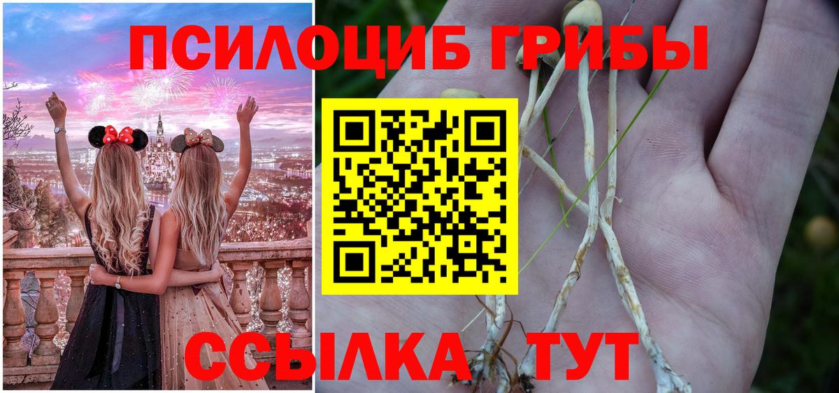 Галлюциногенные грибы Psilocybe Ростов-на-Дону