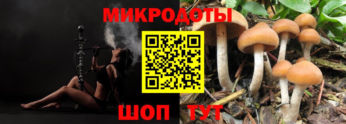 Ростов-на-Дону  Галлюциногенные грибы GOLDEN TEACHER  Вход с VPN 