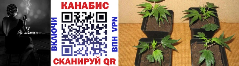 Канабис Ganja как найти закладки Ростов-на-Дону